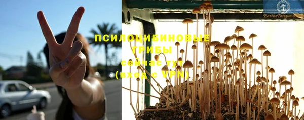 каннабис Пестово